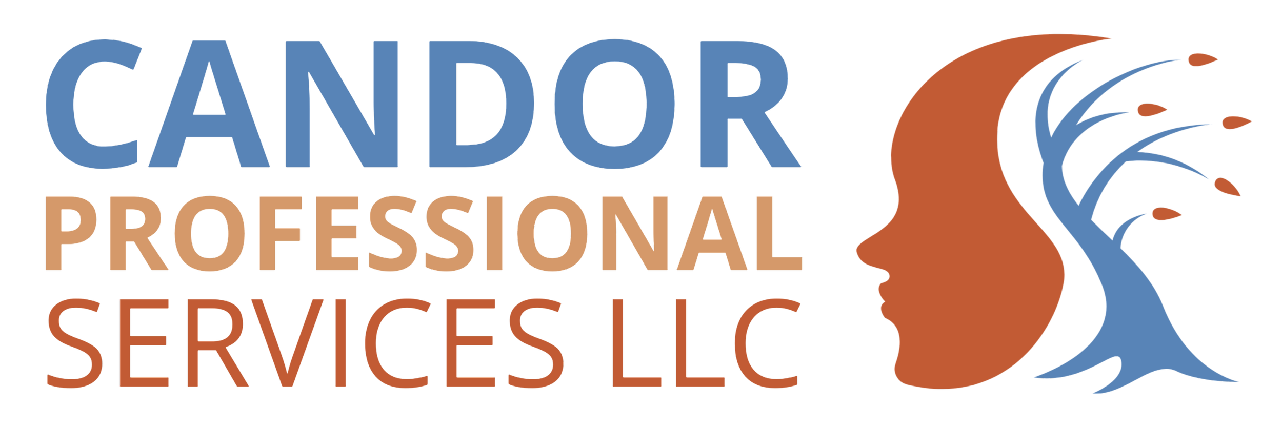 Candor Professional Services